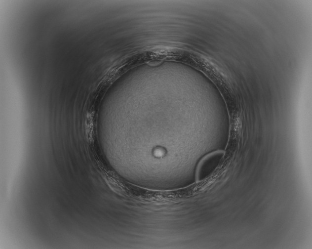 X0000116860868200912221136