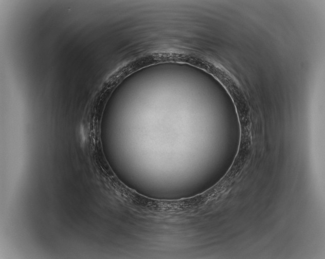 X0000116860870200912221136