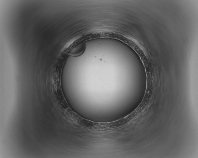X0000116860871200912221136