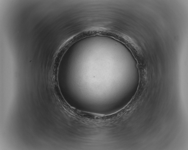 X0000116860872200912221136