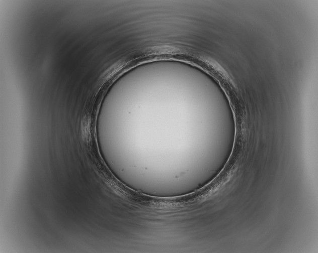 X0000116860873200912221136