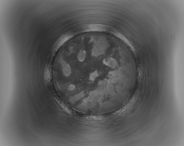 X0000116860874200912221136