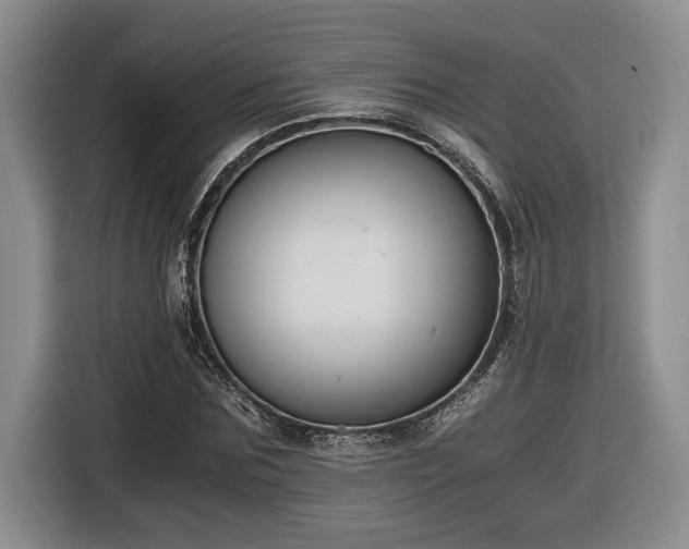 X0000116860875200912221136