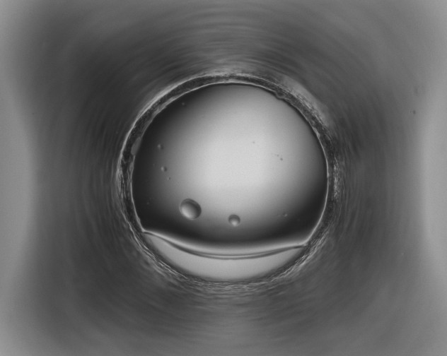 X0000116860876200912221136