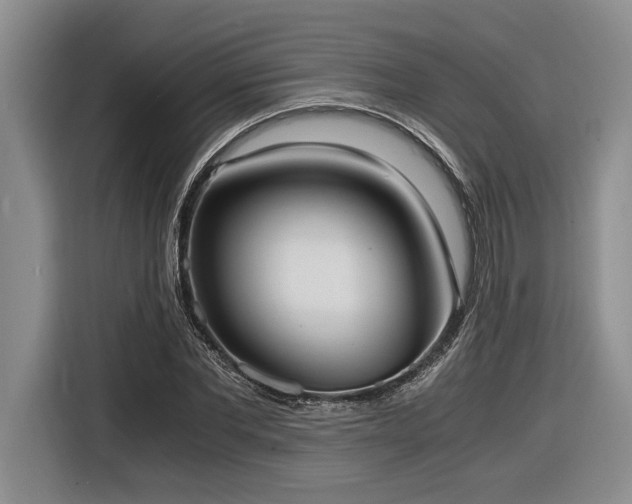 X0000116860877200912221136