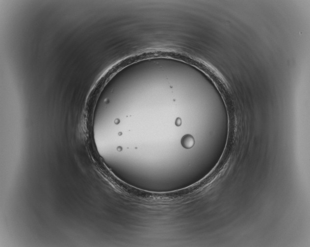 X0000116860878200912221136
