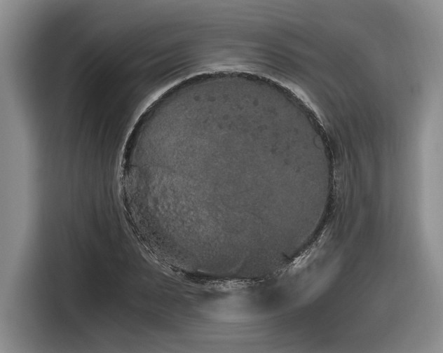 X0000116860879200912221136