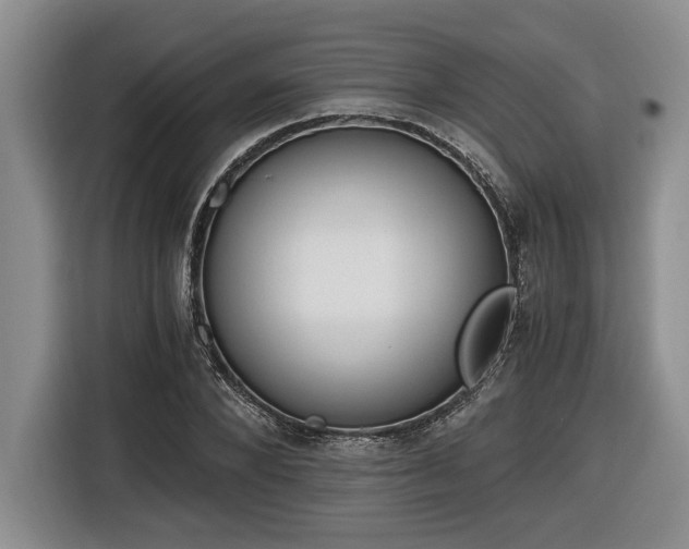 X0000116860880200912221136