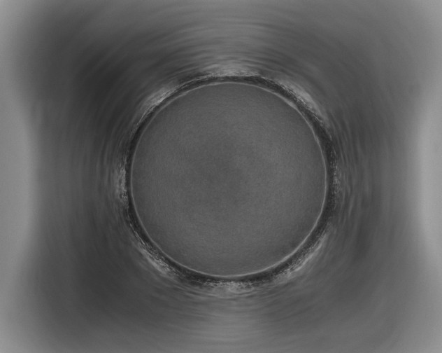X0000116860881200912221136