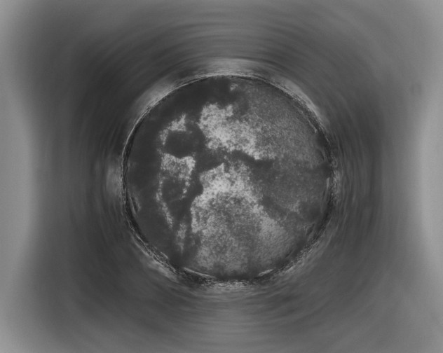 X0000116860882200912221136
