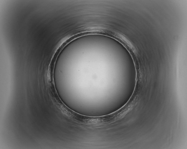 X0000116860883200912221136