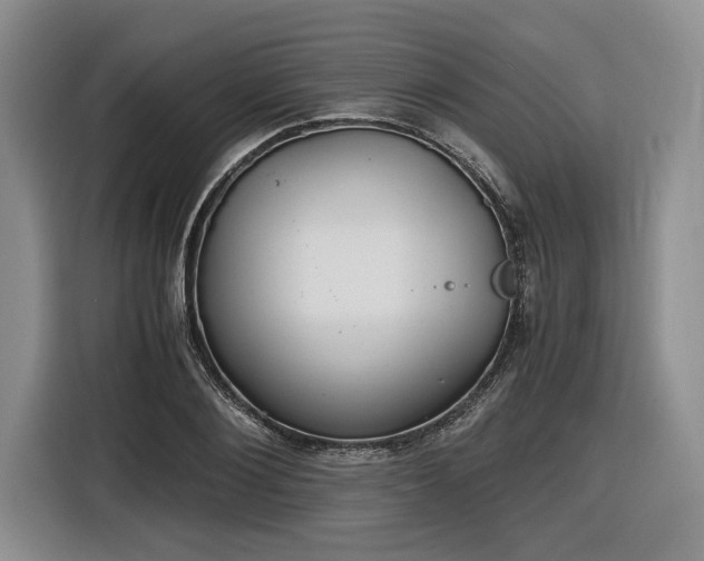 X0000116860884200912221136