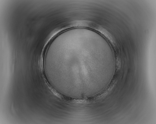 X0000116860886200912221136