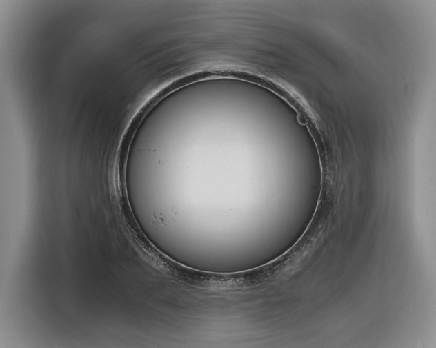 X0000116860887200912221136