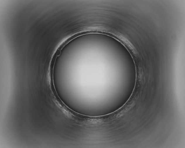 X0000116860888200912221136