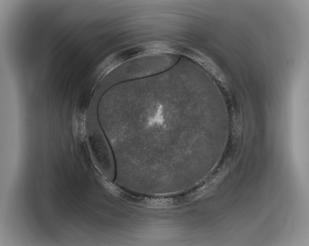 X0000116860889200912221136