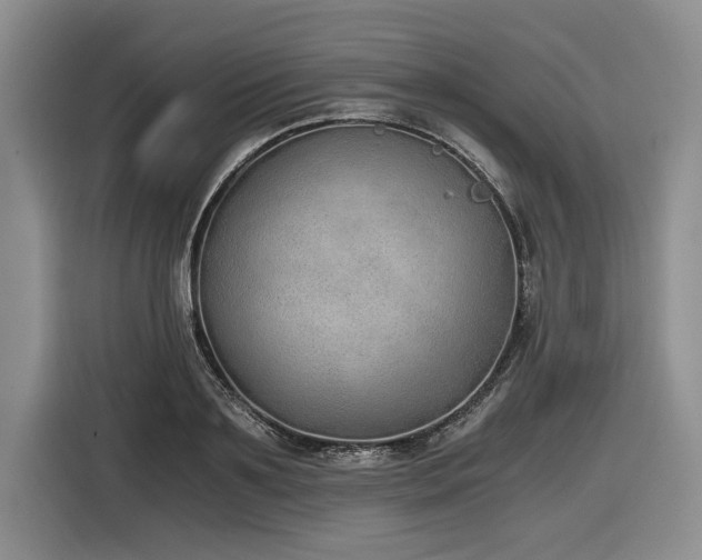 X0000116860891200912221136