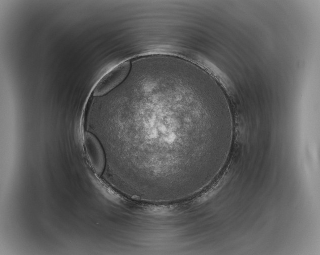 X0000116860892200912221136