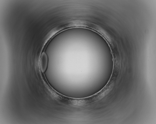 X0000116860893200912221136