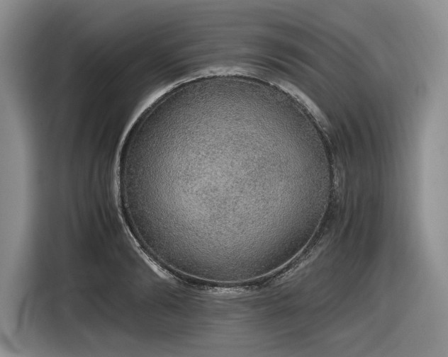 X0000116860894200912221136