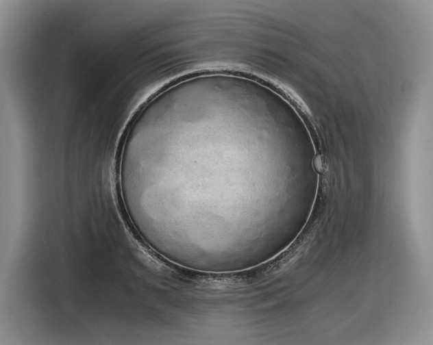 X0000116860895200912221136