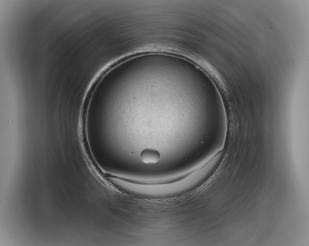 X0000116860896200912221136