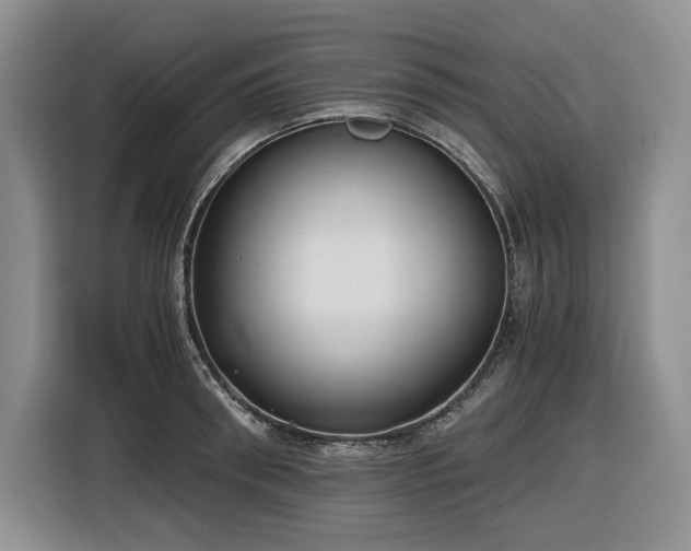 X0000116860898200912221136