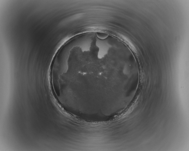 X0000116860899200912221136