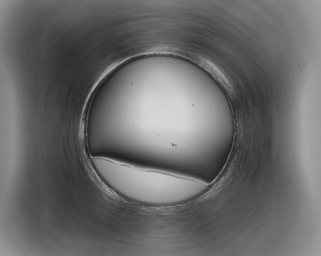 X0000116860900200912221136