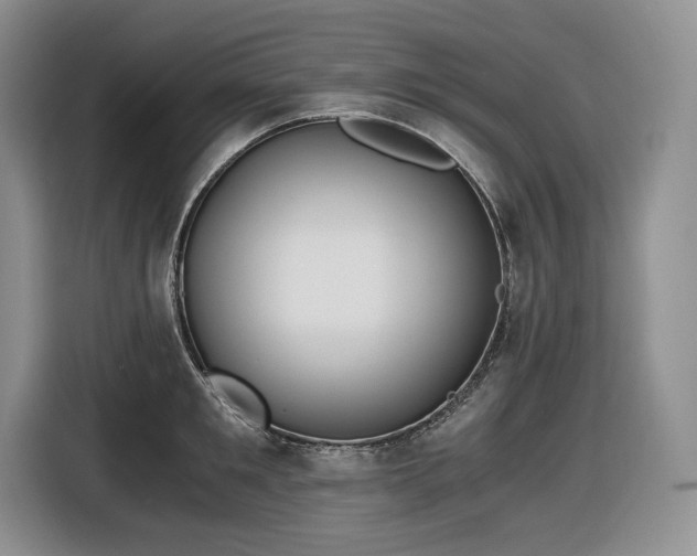 X0000116860901200912221136