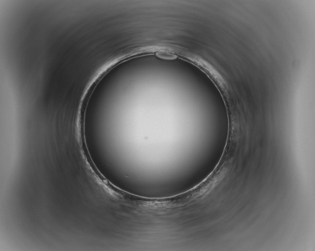 X0000116860902200912221136