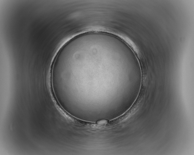 X0000116860903200912221136