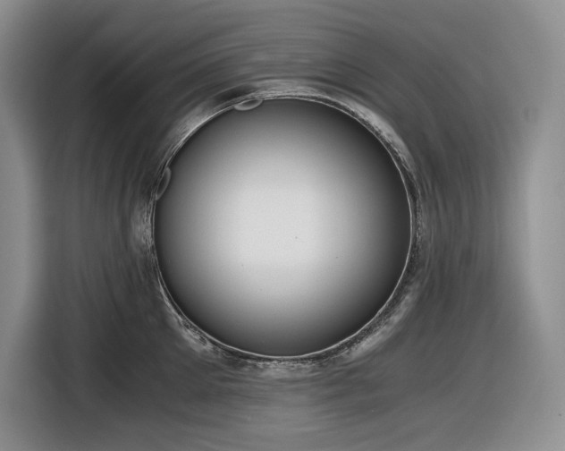 X0000116860905200912221136