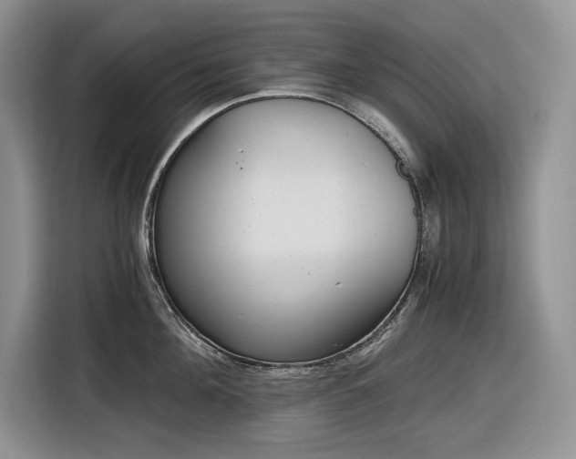 X0000116860908200912221136