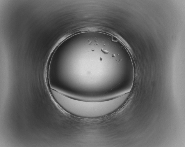 X0000116860909200912221136