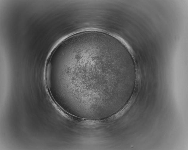 X0000116860910200912221136