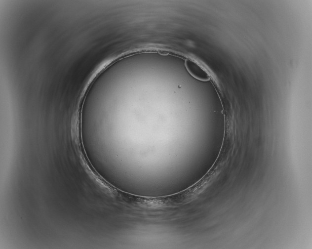 X0000116860911200912221136