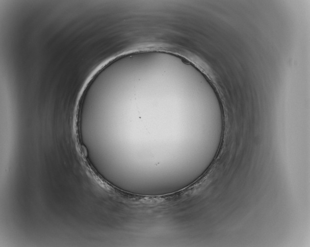 X0000116860912200912221136