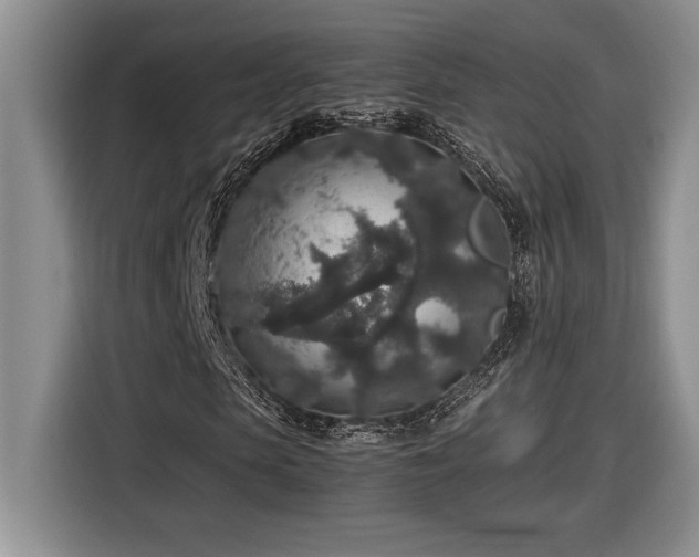 X0000116860913200912221135