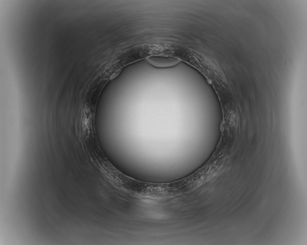 X0000116860914200912221135