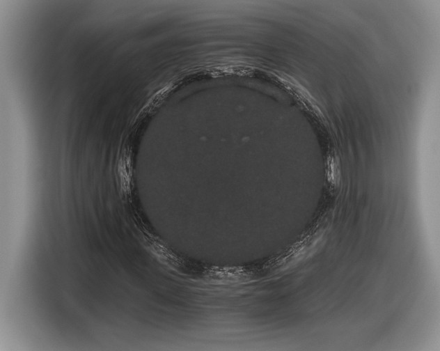 X0000116860915200912221135