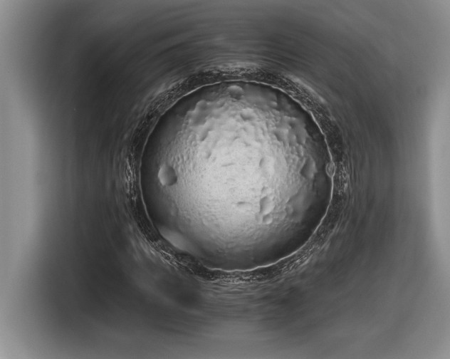 X0000116860917200912221135