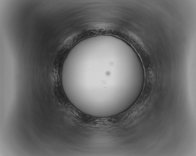 X0000116860918200912221135
