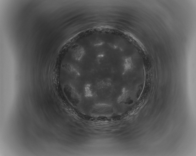 X0000116860919200912221135