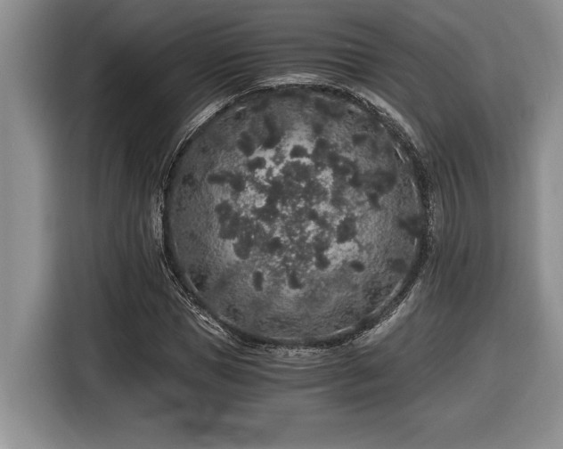 X0000116860921200912221135