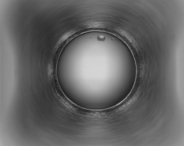 X0000116860922200912221135