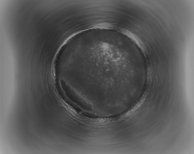 X0000116860923200912221135