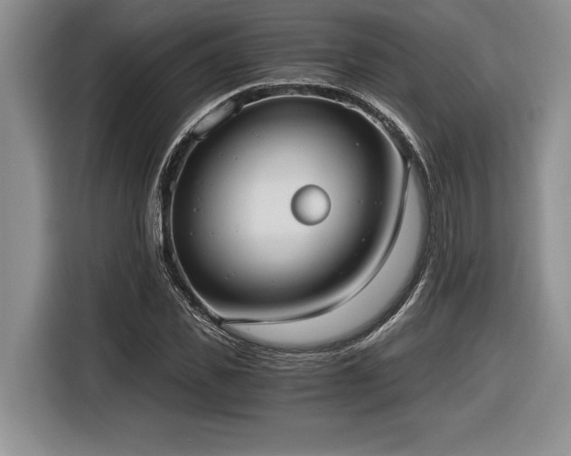 X0000116860925200912221135