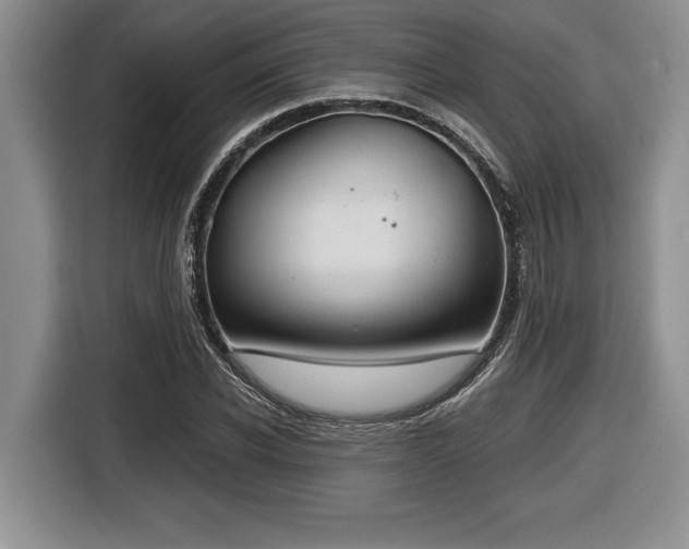 X0000116860926200912221135