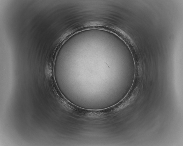 X0000116860929200912221135